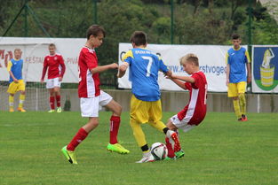 九游网页版入口-足协推动足球普及教育走进中小学，足球推广学校  第2张